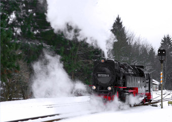 Fototapeta na wymiar Brockenbahn Harz