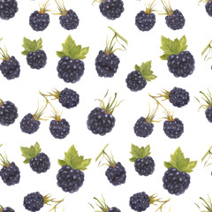 Blackberry seamless pattern
