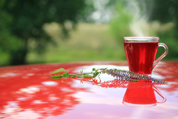 Szklanka czarwonej herbaty i zioło w plenerze. - obrazy, fototapety, plakaty
