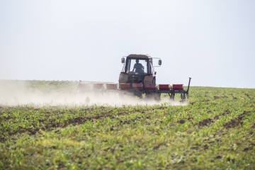 Fototapeta premium Tractor puts on a field of millet