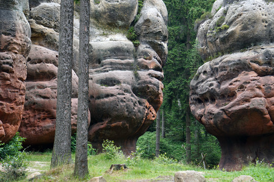 The Kelchstein (&laquo;Chalice Rock&raquo;) &laquo;mushroom rock&raquo; near Oybin, Lusatian Mountains, Germany, horyzontal image