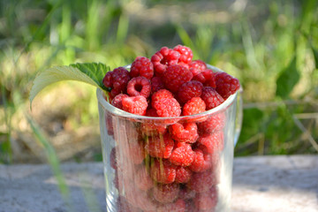 Raspberry in a glass