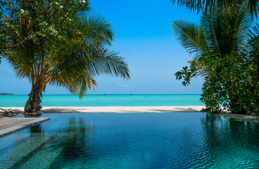 Tropical landscape, swimming pool and turquoise ocean. Palms around the pool. Maldives vacation. 