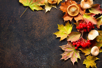 Autumn background with autumn maple red and orange leaves,  mushrooms and berries on  slate background. Top view flat lay background with copy space.