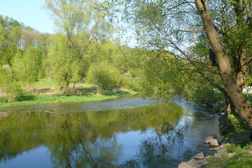 Fototapeta na wymiar Spring by the river