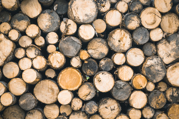 Mountains Lakes and Nature in the Dolomites, Italy