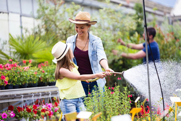 Beautiful young woman with her daughter watering the plants with a hose in the greenhouse.
