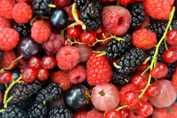 Fresh organic summer berries background. Mulberry, currant, raspberry