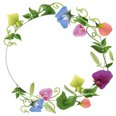 oval frame ornament flowers pea