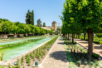 Spain, Cordoba, VIEW OF GARDEN WITH BUILDING IN BACKGROUND