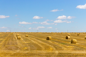 Rolls of hay in field of wheat. Haystacks in farmland. Wheat harvest concept. Countryside on sunny summer day. Round bales of hay. Agriculture and golden meadow background.
