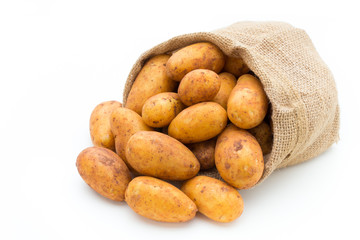 A bio russet potato isolated white background.