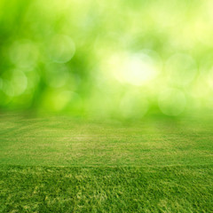 Fototapeta na wymiar Green grass field bokeh