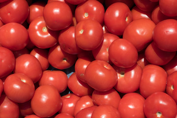 fresh red tasty tomatoes on the market