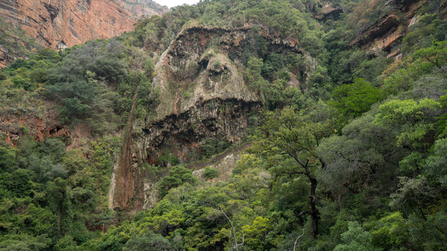 An image of King Kong appears in the jungle of Blyde River canyon in South Africa. 