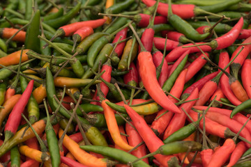 variety of fresh colorful chili peppers