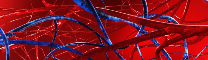 Blood vessels. Veins and arteries. Circulatory system.
3D rendering
 - obrazy, fototapety, plakaty