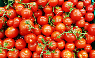 A Pile of Red Tomatoes  