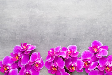 Obraz na płótnie Canvas Beauty orchid on a gray background. Spa scene.