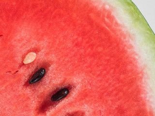 watermelon texture, copy space