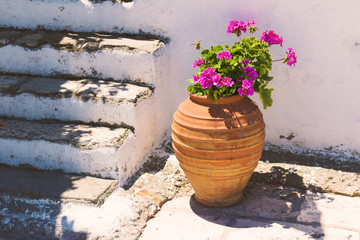 typical vase with flowers in Greece on the white wall