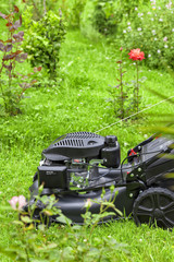 Fototapeta premium A four-stroke gasoline lawnmower on top of the grass in the garden