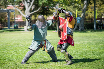 Medieval Knights Fighting