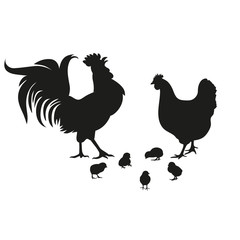Chicken, rooster and chickens. Chicken farm set black silhouettes. Isolated elements of the illustration