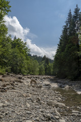 Obraz premium Bergbach