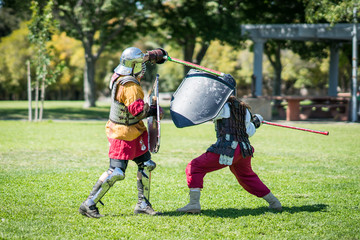 Renaissance Knights Fighting
