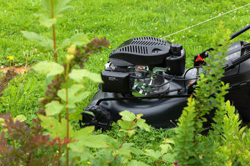 A four-stroke gasoline lawnmower on top of the grass in the garden