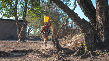 An african woman carries water from the river to her village in Botswana.