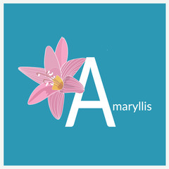 letter a floral alphabet. vector graphic design. abc design.