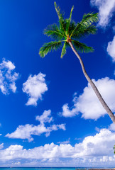 ハワイの空とビーチ