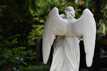 Backside view of a weathered sandstone sculpture of an angel in the middle of a graveyard in...