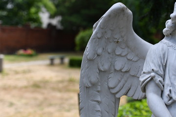 Part view of an angel wing. An old sandstone sculpture on a cemetery in Berlin-Germany