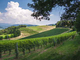 Beautiful landscape of the hills of Oltrepo Pavese, in Italy.