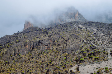 Point Batian in Mount Kenya covered by clouds, Mount Kenya National Park