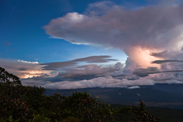 Obraz premium Panoramic View from the Auyantepui, Venezuela