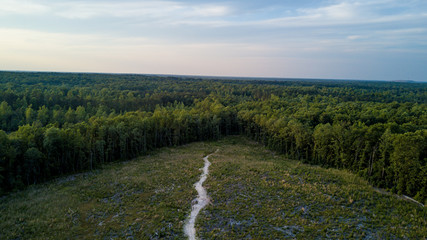 Drone Shot Woods