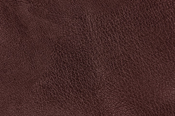 Fototapeta premium Natural leather background