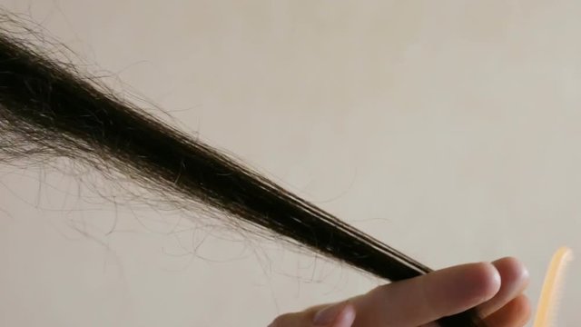 A woman combs a strand of long dark wavy hair and cut the ends of the hair. Two hands, hair, comb, scissors close-up, real time