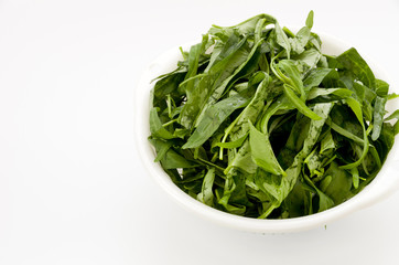 空心菜（クウシンサイ）の葉