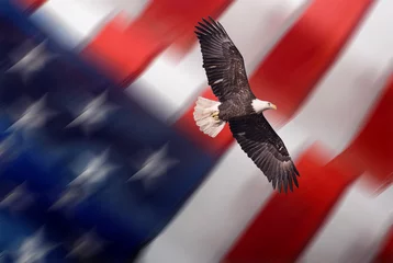Crédence de cuisine en plexiglas Aigle Bald eagle and Statue of liberty with american flag out of focus