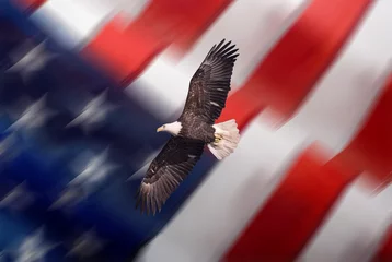 Crédence de cuisine en verre imprimé Aigle Bald eagle and Statue of liberty with american flag out of focus