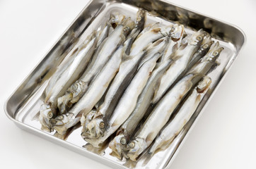カラフトししやも丸干し（オス）