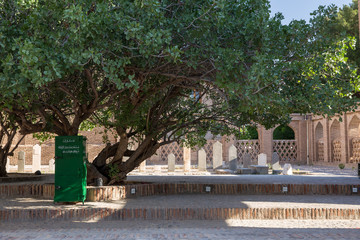Obraz premium Pistachio Tree in the Shrine, Torbat Jam, Khorasan, Iran