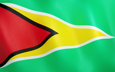 3D Flag of Guyana.