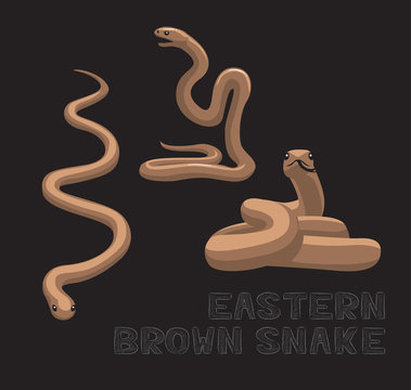 Snake Eastern Brown Cartoon Vector Illustration