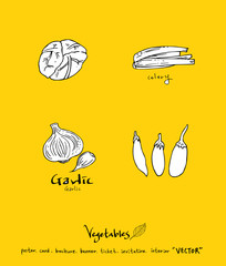 농산물 일러스트 / 손으로 그린 과일과 채소 그림